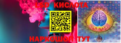 гидропоника Новокубанск