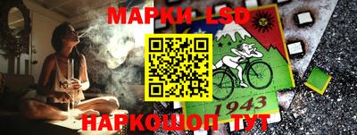 jwh Новозыбков
