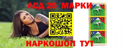 гидропоника Новокубанск