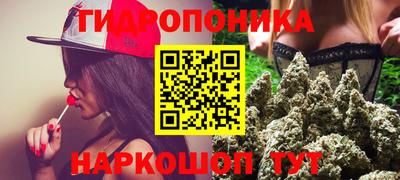 гидропоника Новокубанск