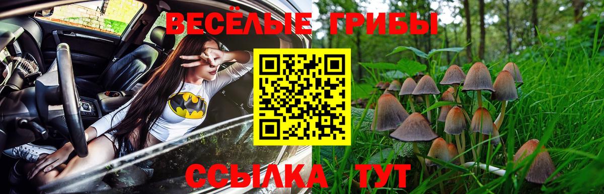 Северобайкальск  Галлюциногенные грибы мухоморы  сколько стоит  Вход с VPN 